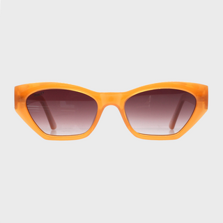 The Spector Sunglasses