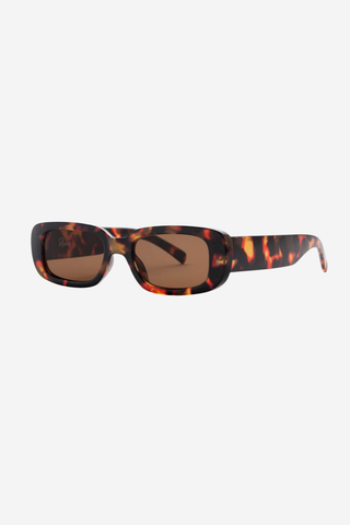 Xray Spex Sunglasses