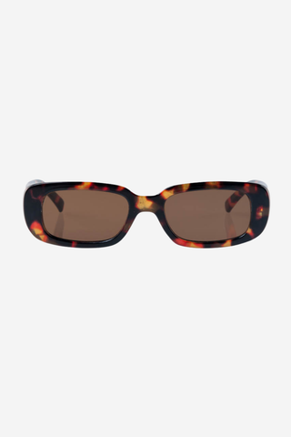 Xray Spex Sunglasses