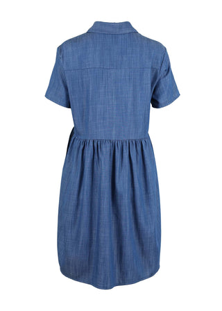 Olga de Polga Le Studio Denim Villa dress. Short sleeves, with a collar and dropped waist seam. With a button opening down to the waist seam, the dress is knee length. Back view