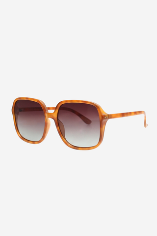 Della Spiga Sunglasses