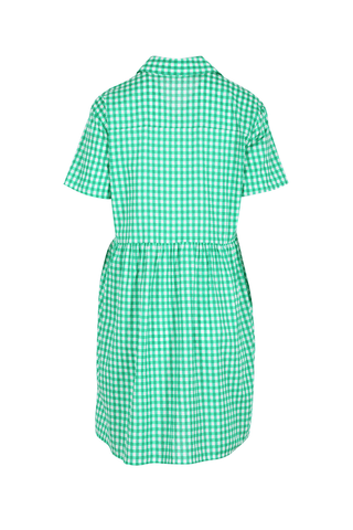 Sunshine Villa Dress Green